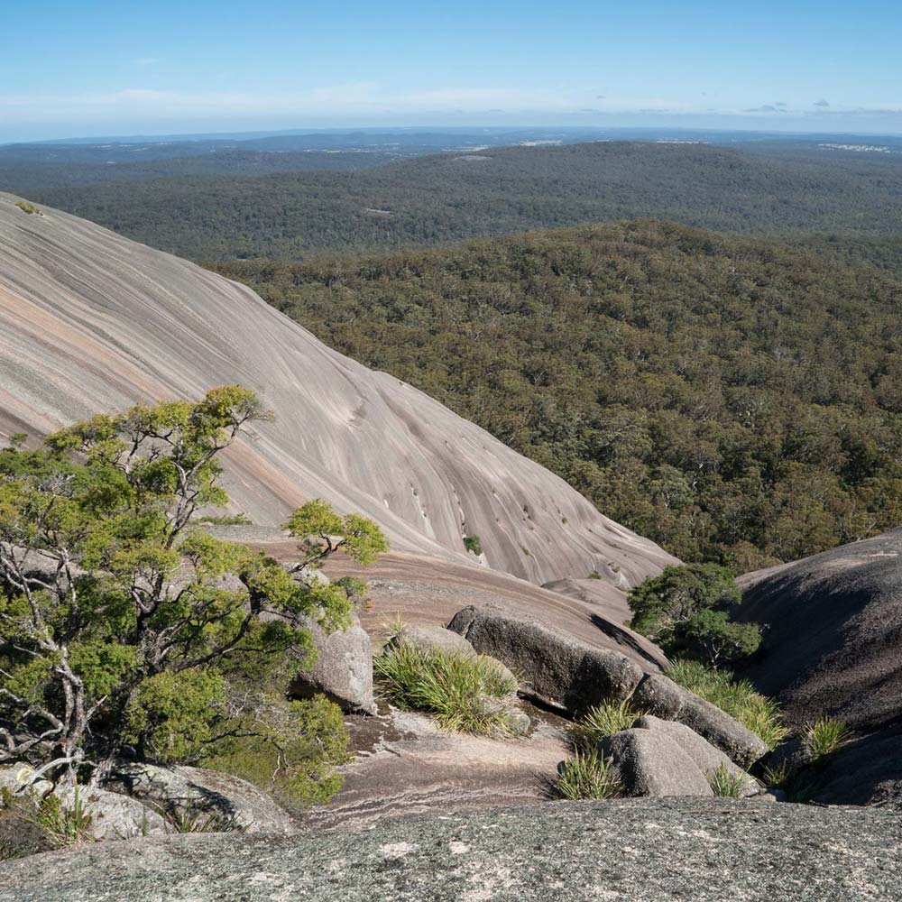 Bald Rock
